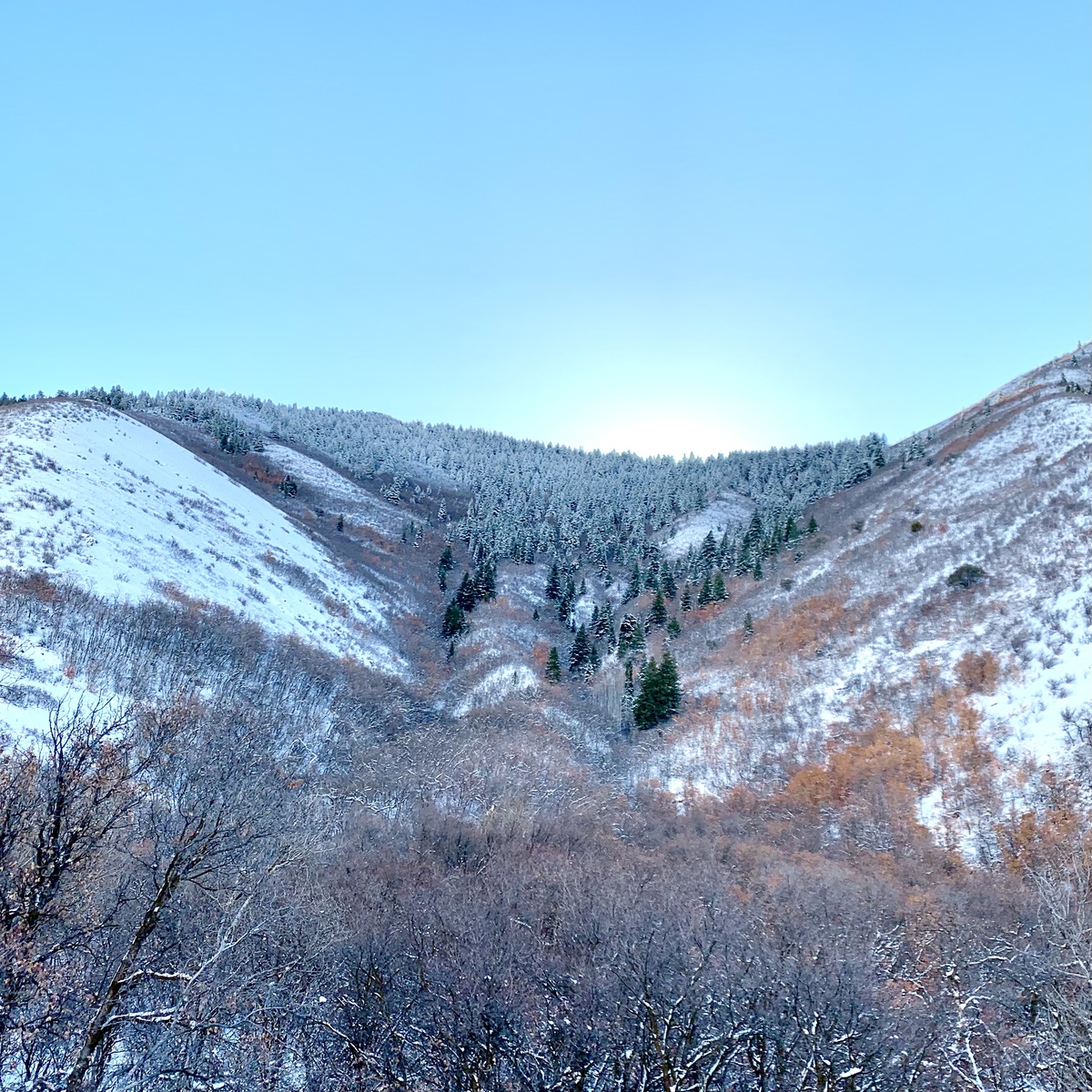 I Took This One On A 3 Mile Hike 