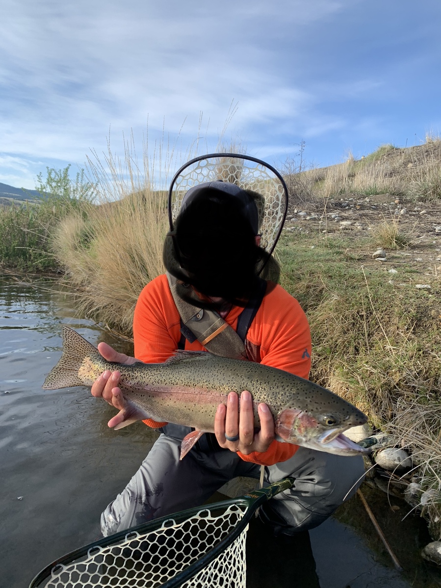 Caught some big trout in these random ponds off I90