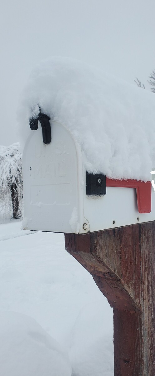 Post your snow pictures